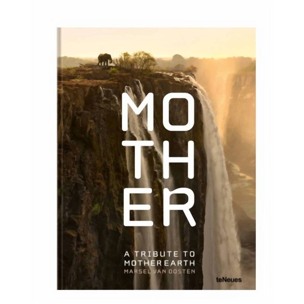 NEW ACC PUBLISHING mother books in brown